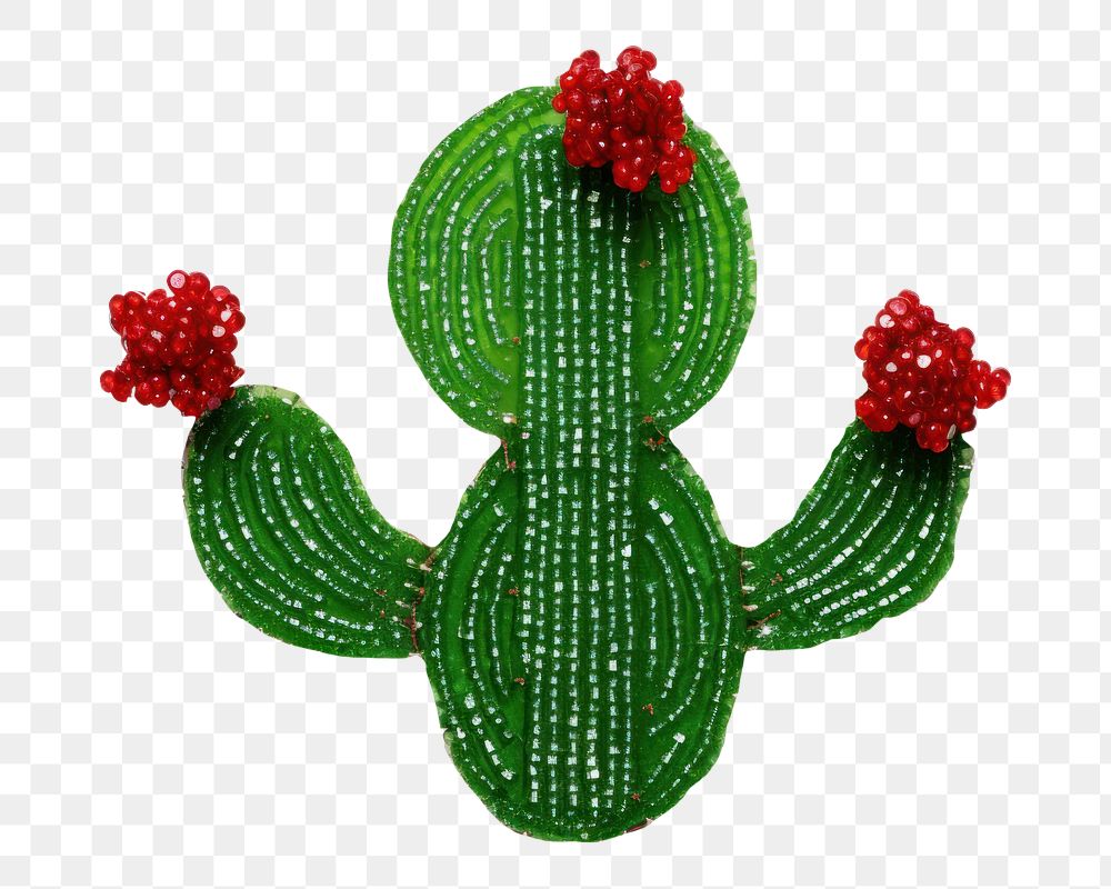 PNG Cactus brooch plant bead. AI generated Image by rawpixel.