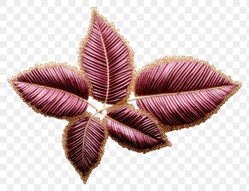 PNG Leaf brooch plant white background. AI generated Image by rawpixel.