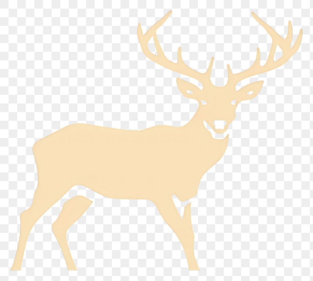 PNG Deer wildlife animal antler. AI generated Image by rawpixel.