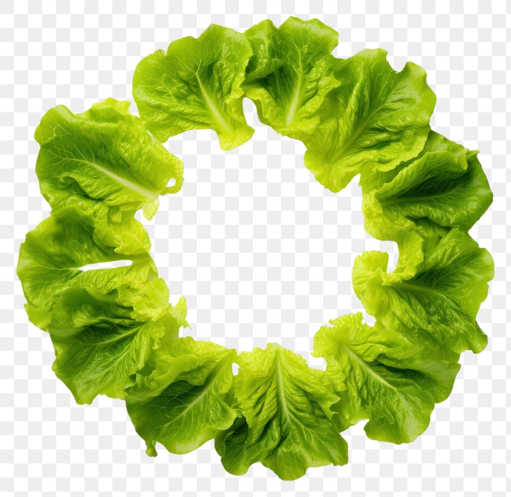 PNG  Lettuce vegetable plant food. AI generated Image by rawpixel.