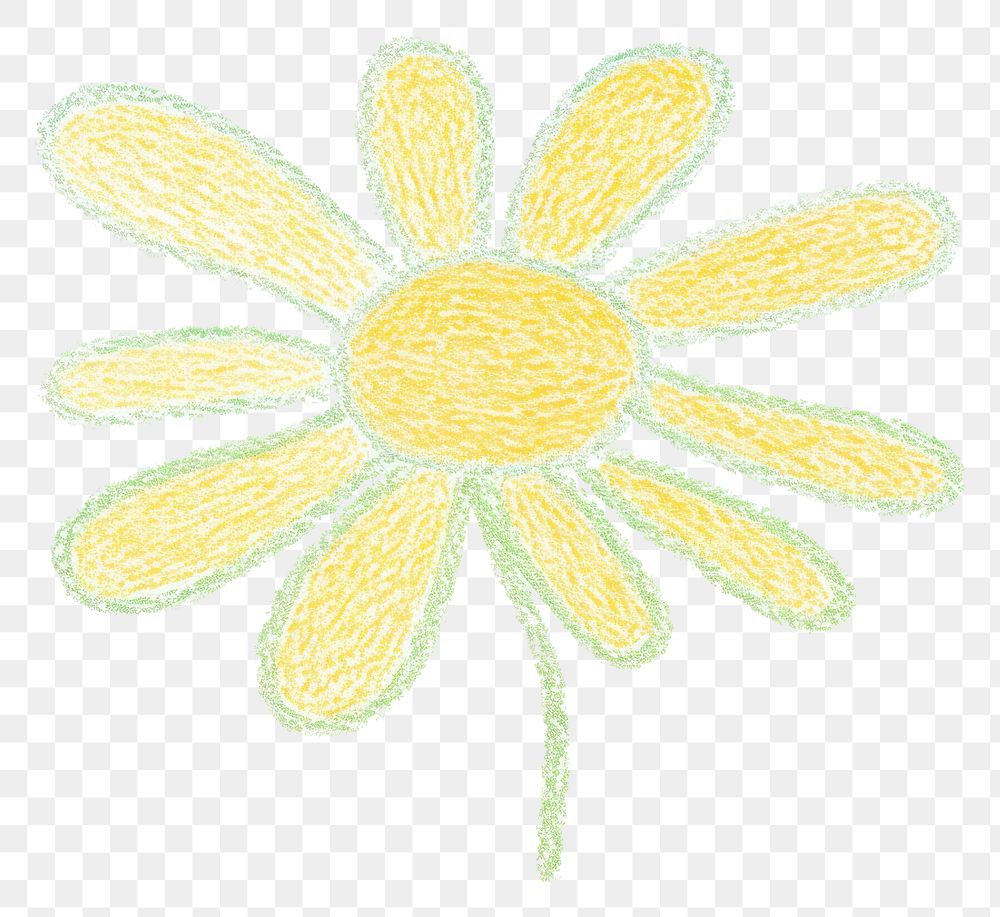 PNG A daisy pattern flower plant. AI generated Image by rawpixel.