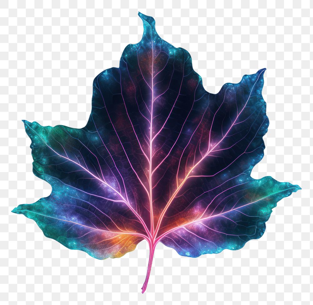 PNG Leaf plant tree chandelier. AI generated Image by rawpixel.