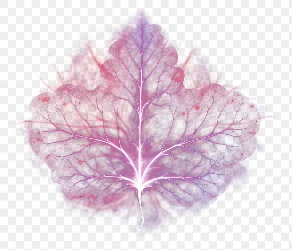 PNG Leaf nature purple thunderstorm. AI generated Image by rawpixel.