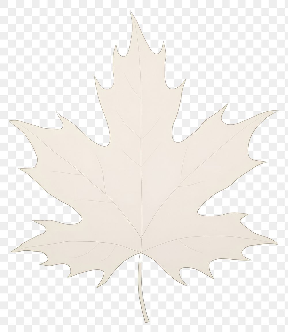 PNG  Abstract maple leaf plant tree creativity. AI generated Image by rawpixel.