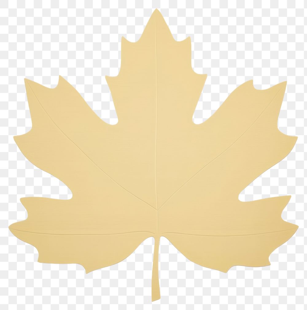 PNG  Abstract maple leaf backgrounds plant tree. AI generated Image by rawpixel.