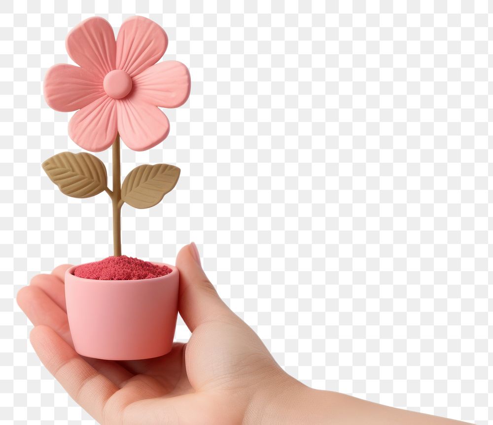 PNG Hand holding flower petal plant white background. AI generated Image by rawpixel.