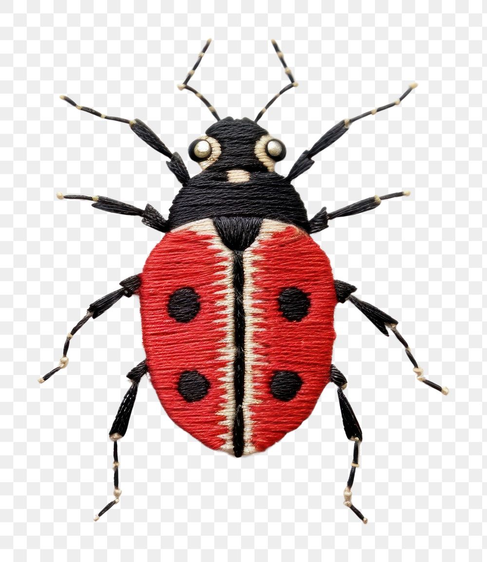 PNG Bug animal insect invertebrate. AI generated Image by rawpixel.