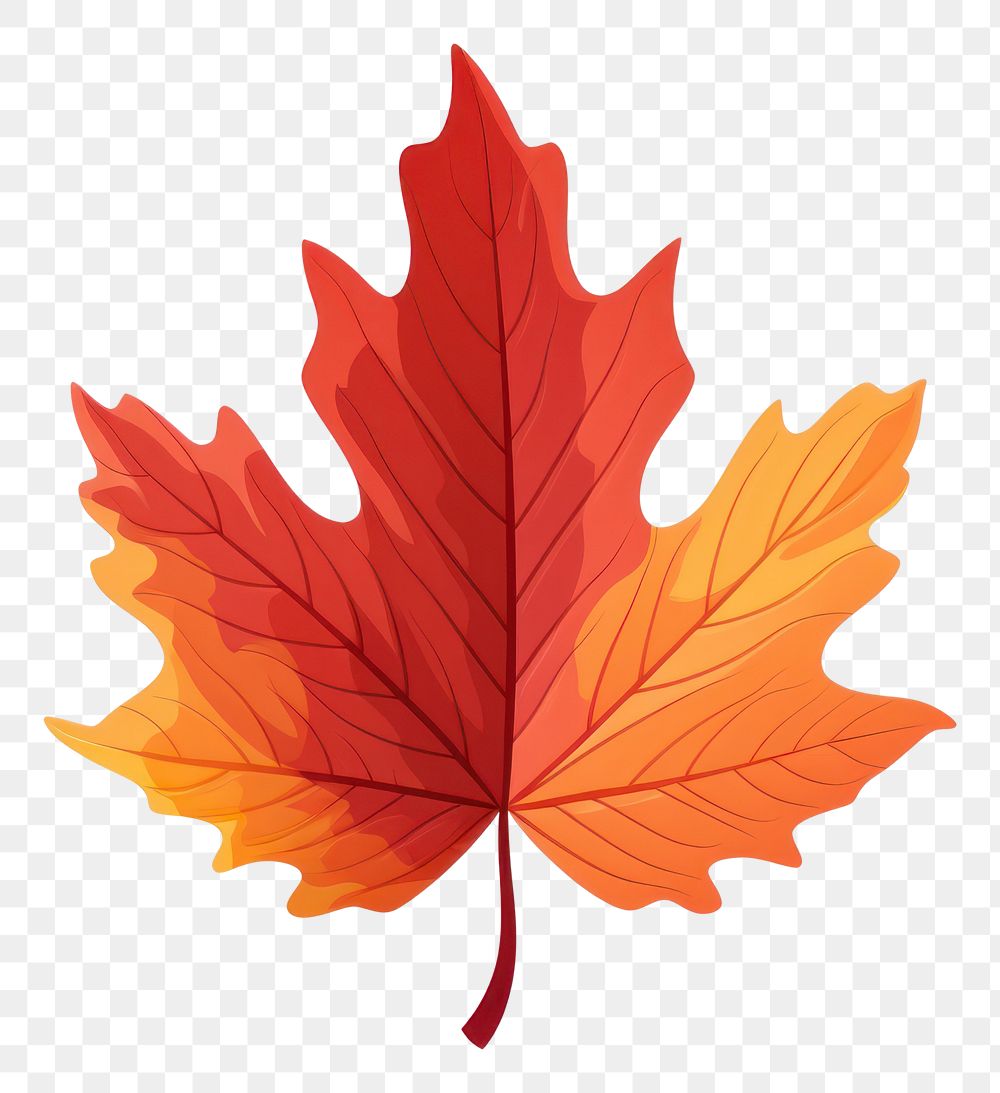 PNG Autumn leaf plant tree white background. AI generated Image by rawpixel.