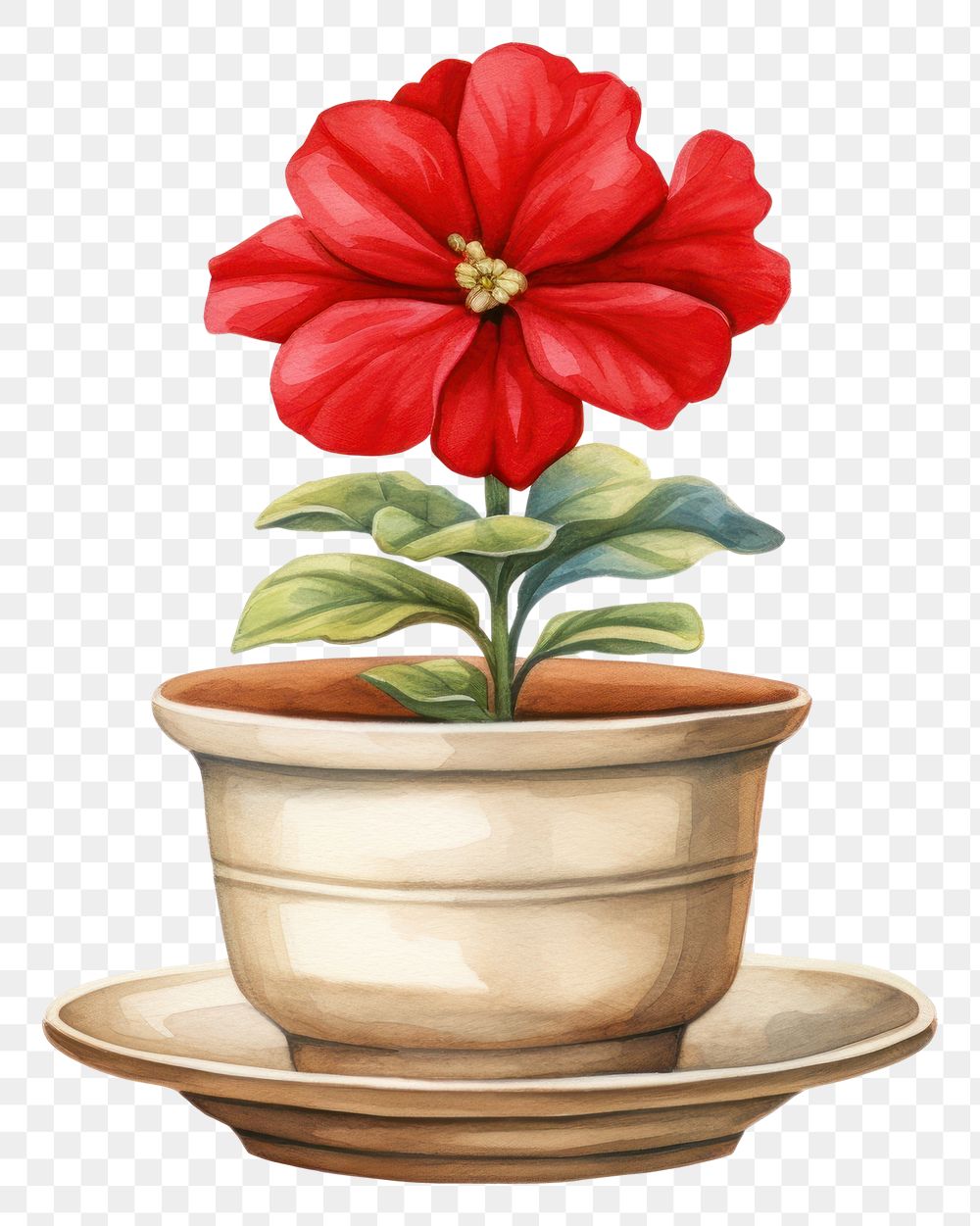 PNG Single red flower pot with saucer plant petal white background. AI generated Image by rawpixel.