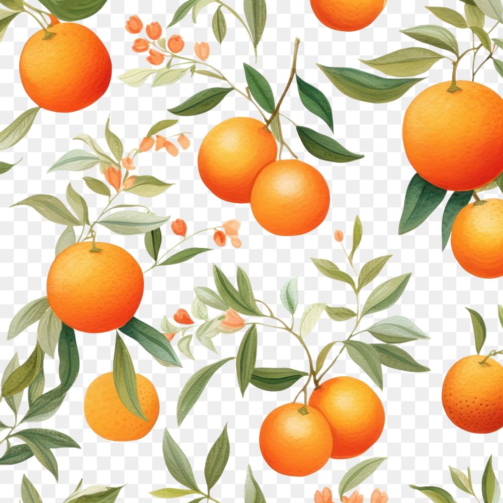 PNG Chinese orange pattern watercolor backgrounds grapefruit plant. AI generated Image by rawpixel.