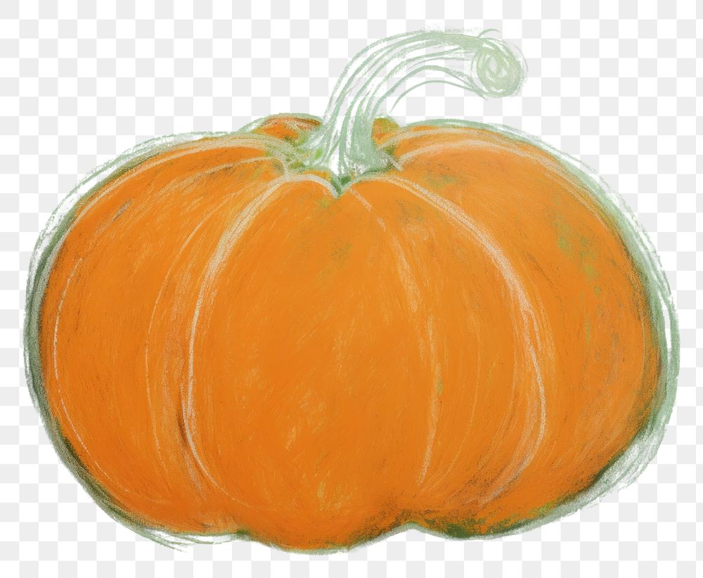 PNG Pumpkin backgrounds vegetable green. AI generated Image by rawpixel.