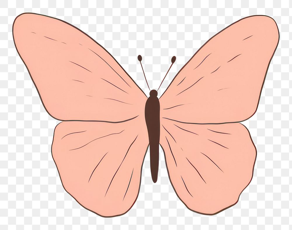 PNG Butterfly cartoon animal insect. AI generated Image by rawpixel.