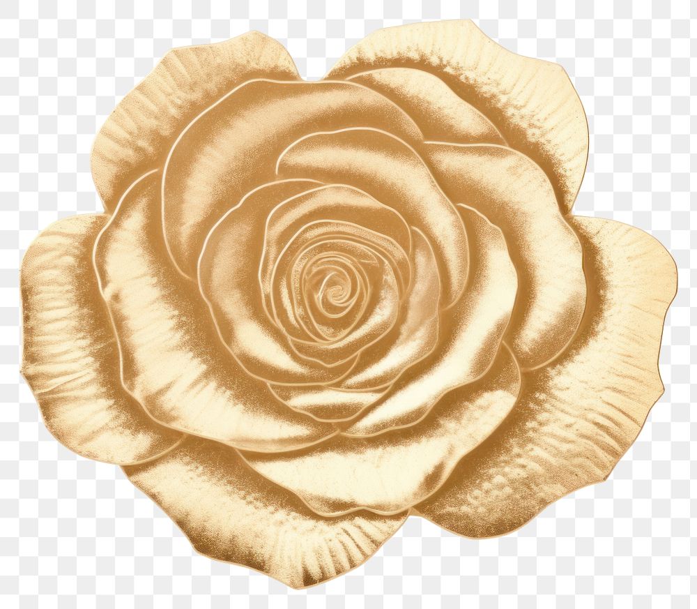 PNG  Rose ornament flower petal plant