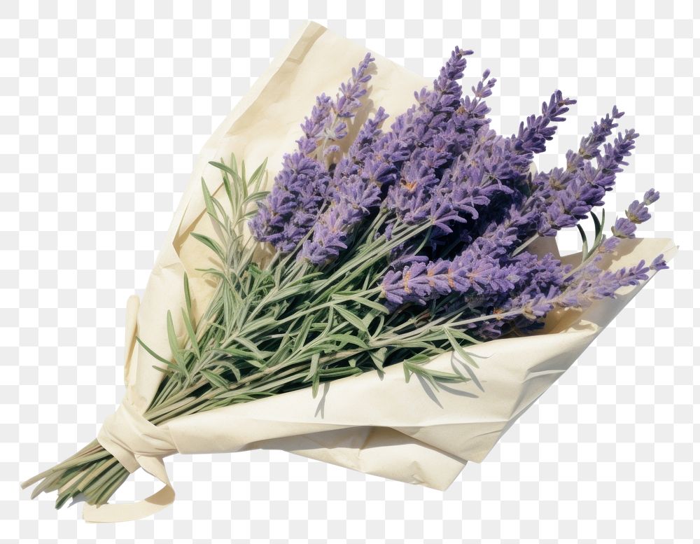 PNG Lavender bouquet flower plant paper. AI generated Image by rawpixel.