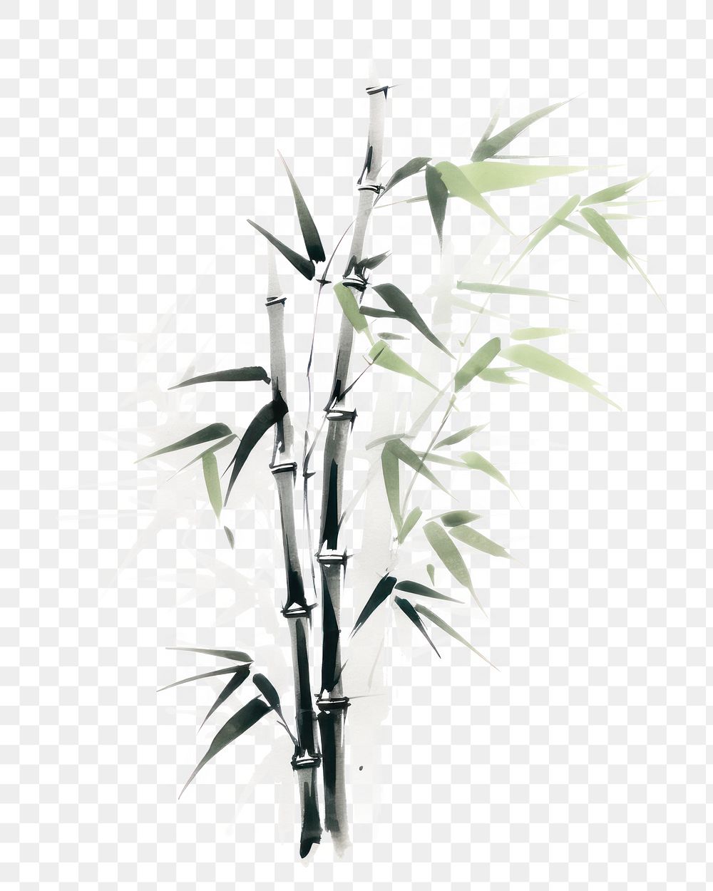 PNG Bamboo plant white background branch. AI generated Image by rawpixel.