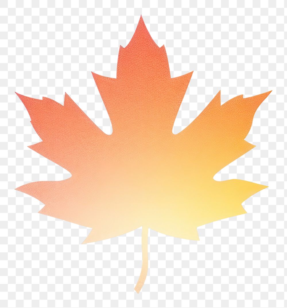 PNG Orange maple leaf icon plant white background falling. AI generated Image by rawpixel.