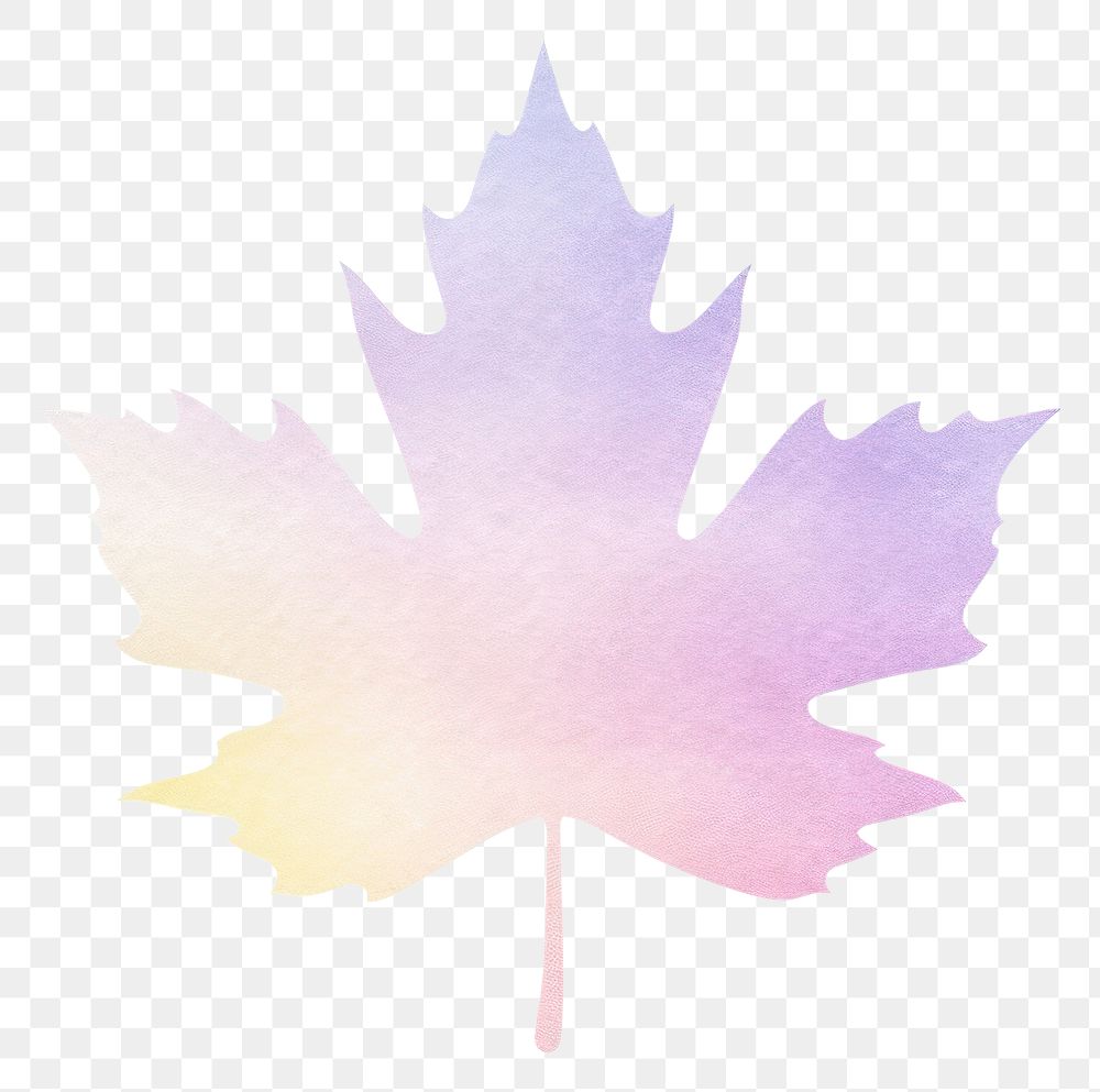 PNG Maple leaf icon plant white background purple. AI generated Image by rawpixel.