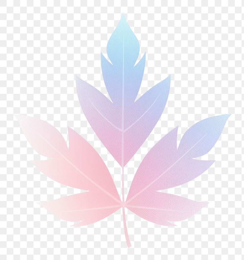 PNG Leaf icon plant logo fragility. AI generated Image by rawpixel.