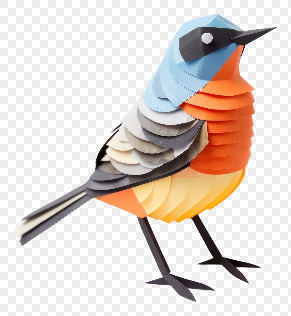 PNG  A small cute bird animal robin beak. AI generated Image by rawpixel.