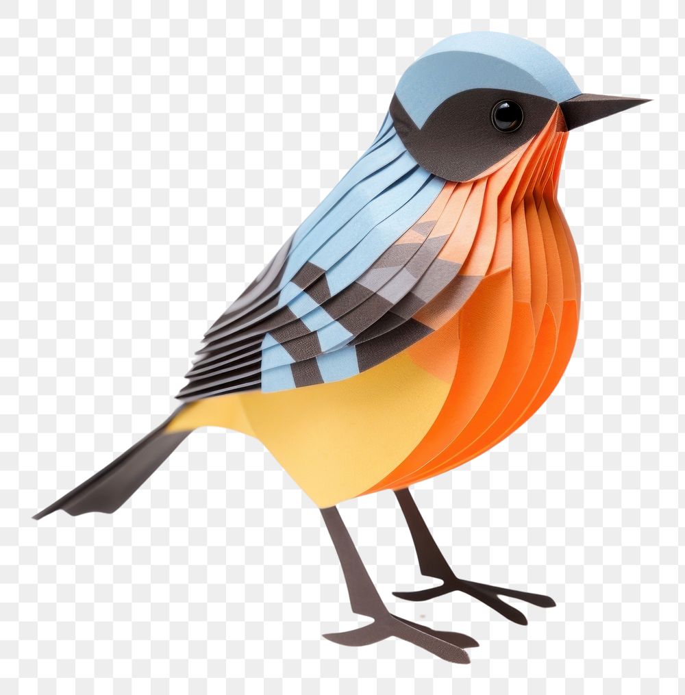 PNG  A small cute bird animal robin wildlife. AI generated Image by rawpixel.