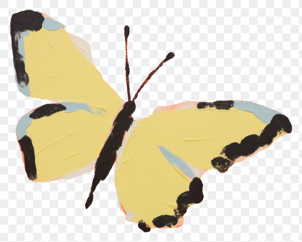 PNG Butterfly painting animal insect. 