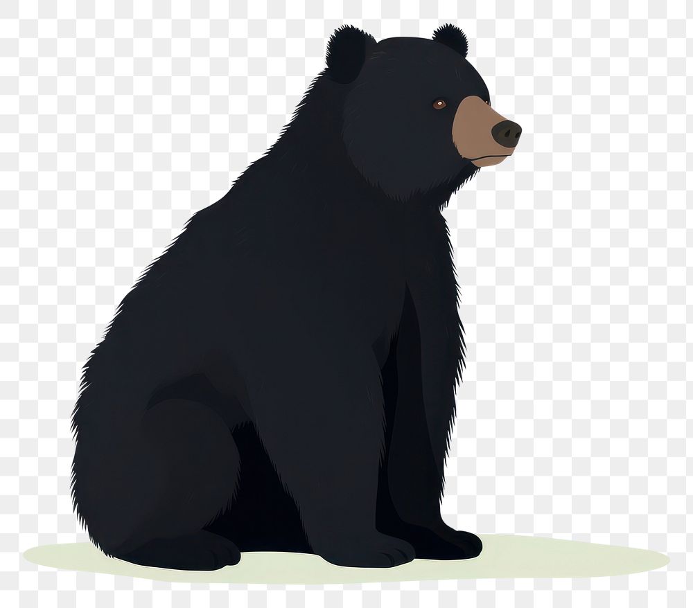 PNG Bear wildlife cartoon mammal. AI generated Image by rawpixel.