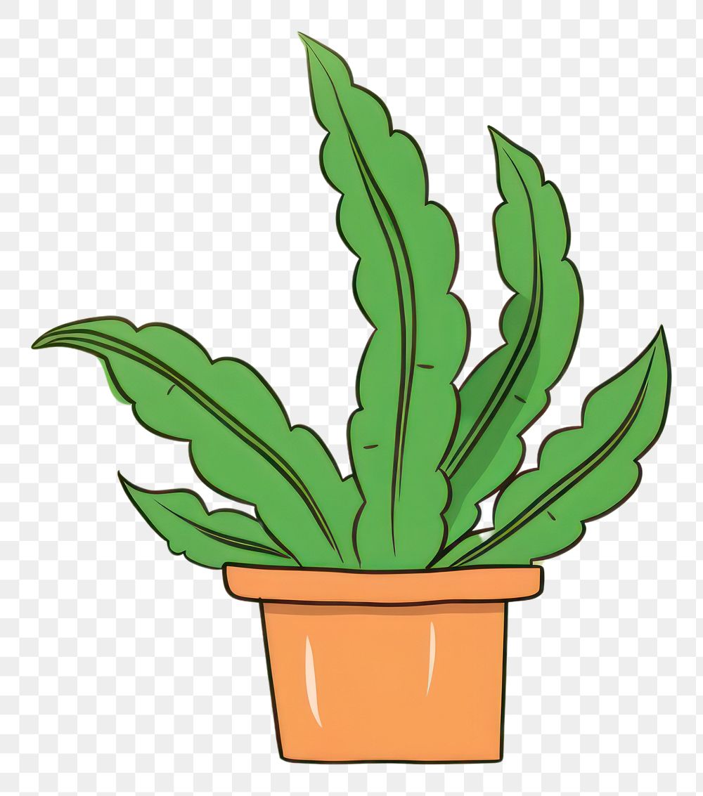 PNG Plant cartoon leaf houseplant. AI generated Image by rawpixel.