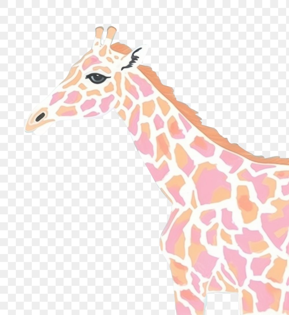 PNG  Giraffe animal mammal art. 