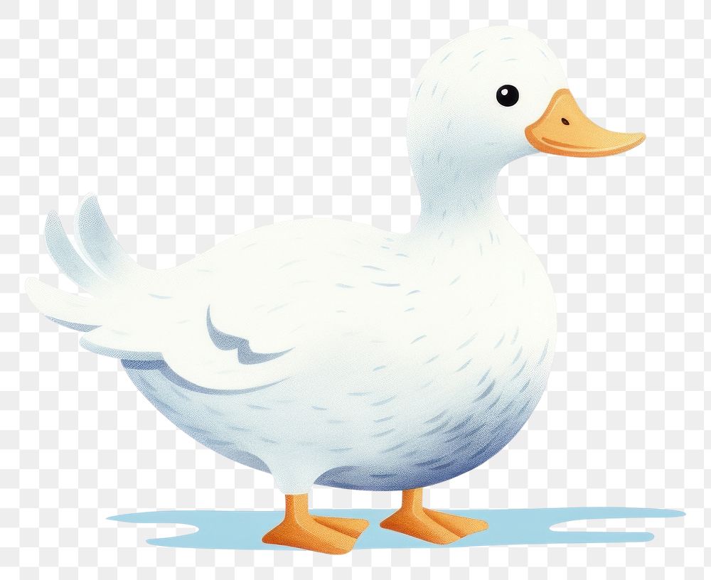 PNG White duck animal bird white background. AI generated Image by rawpixel.