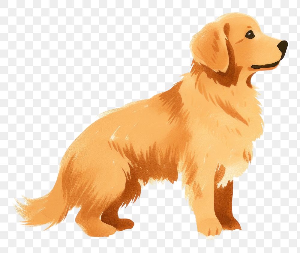 PNG Golden retriever animal mammal dog. AI generated Image by rawpixel.