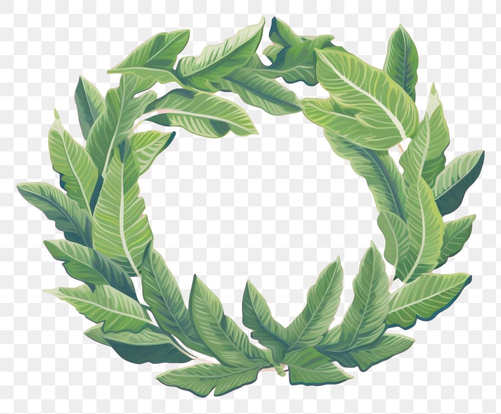 PNG Tropical leaves wreath art green plant. AI generated Image by rawpixel.