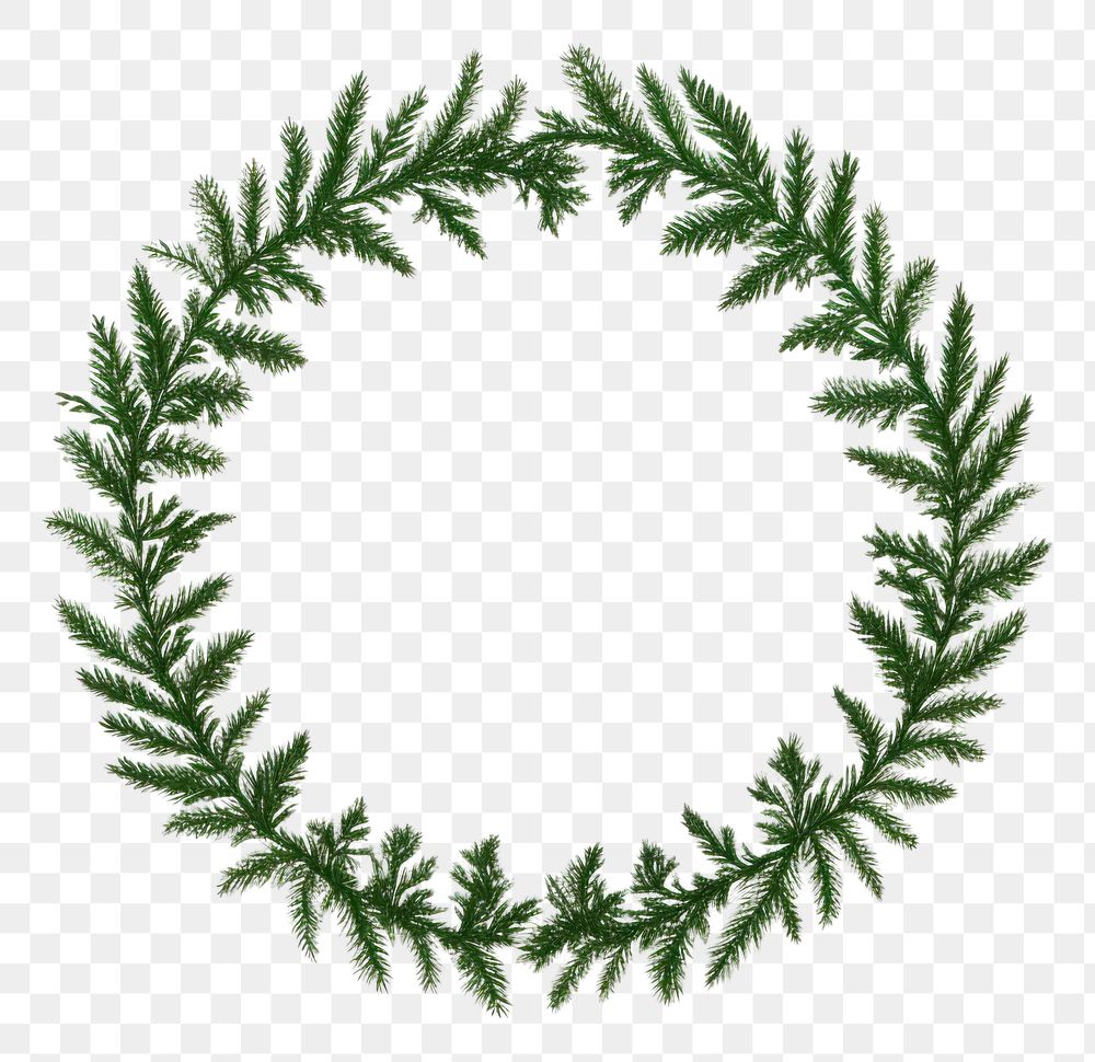 PNG Pine tree wreath plant green leaf. AI generated Image by rawpixel.