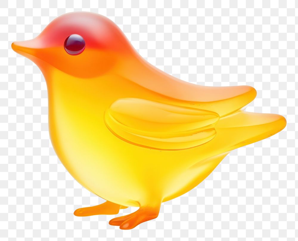 PNG Bird animal canary white background. AI generated Image by rawpixel.
