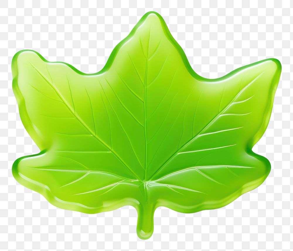 PNG Leaf plant shape green. AI generated Image by rawpixel.