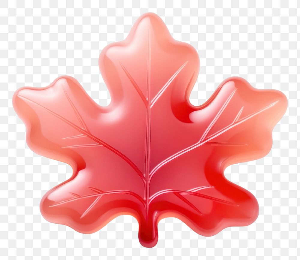 PNG Maple leaf petal plant shape. AI generated Image by rawpixel.
