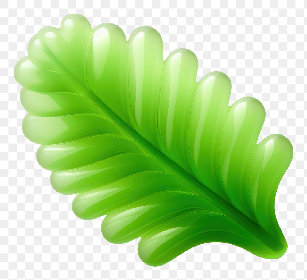 PNG Simple green fern leave plant leaf accessories. 