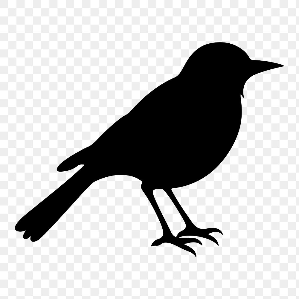 PNG  Bird silhouette blackbird animal.