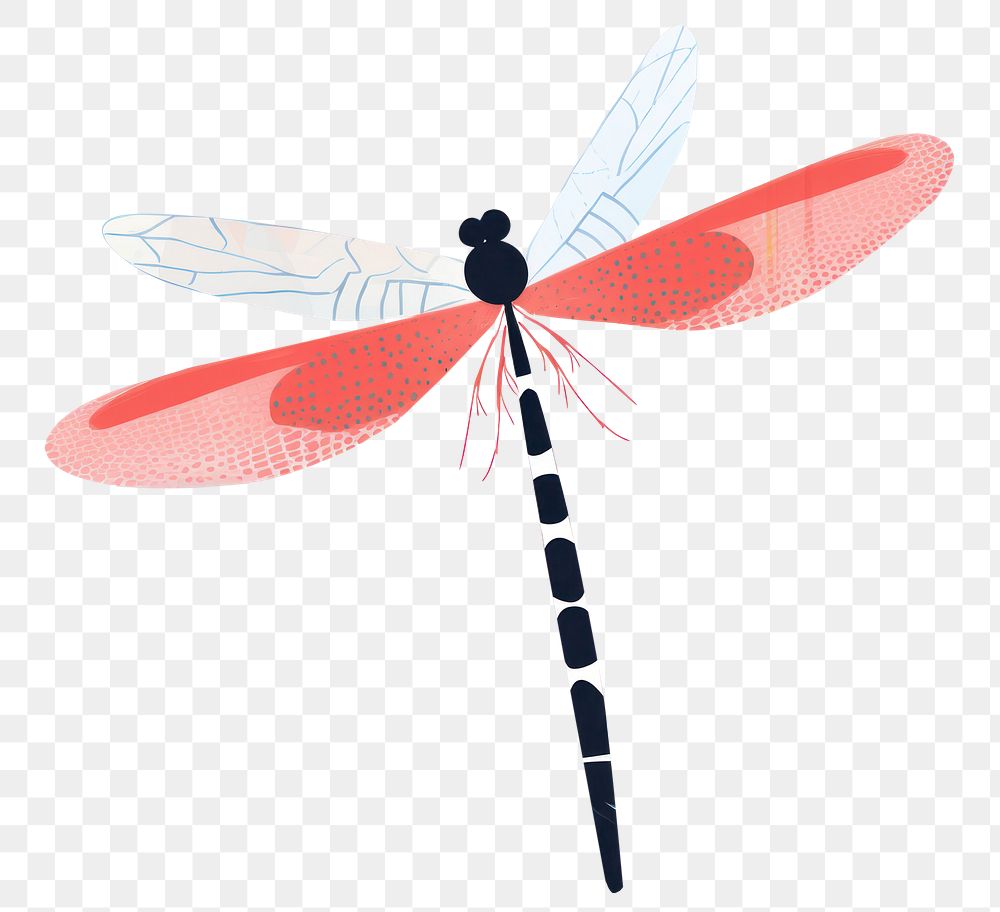 PNG dragonfly insect magnification invertebrate. | Free PNG - rawpixel