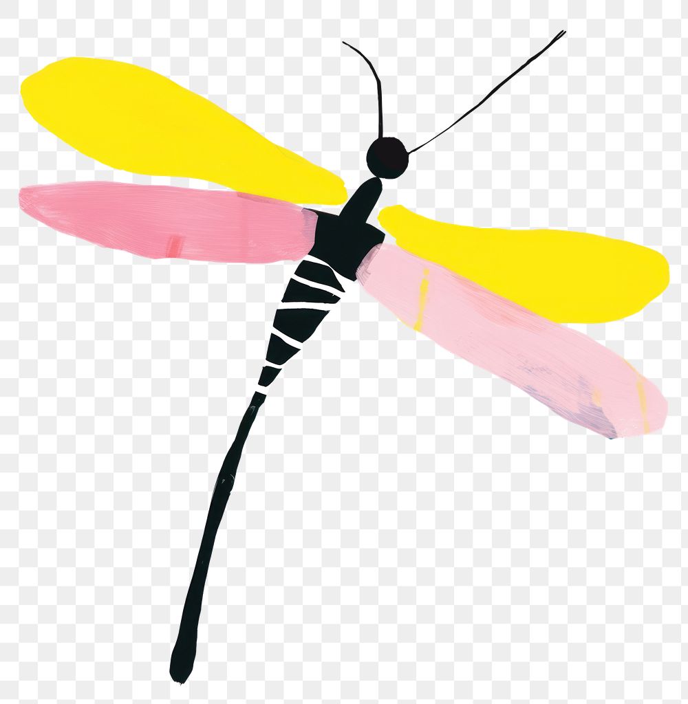 PNG A dragonfly art insect animal. .