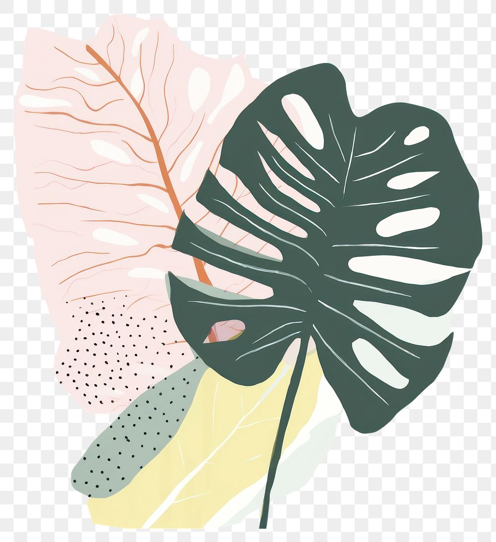 PNG Monstera leaf art drawing sketch. 