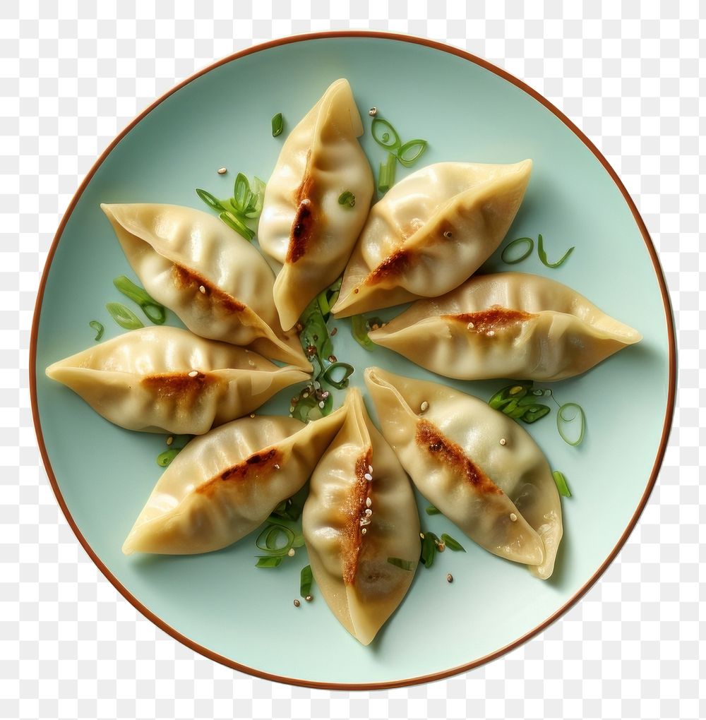 PNG Gyoza dumpling plate food. 