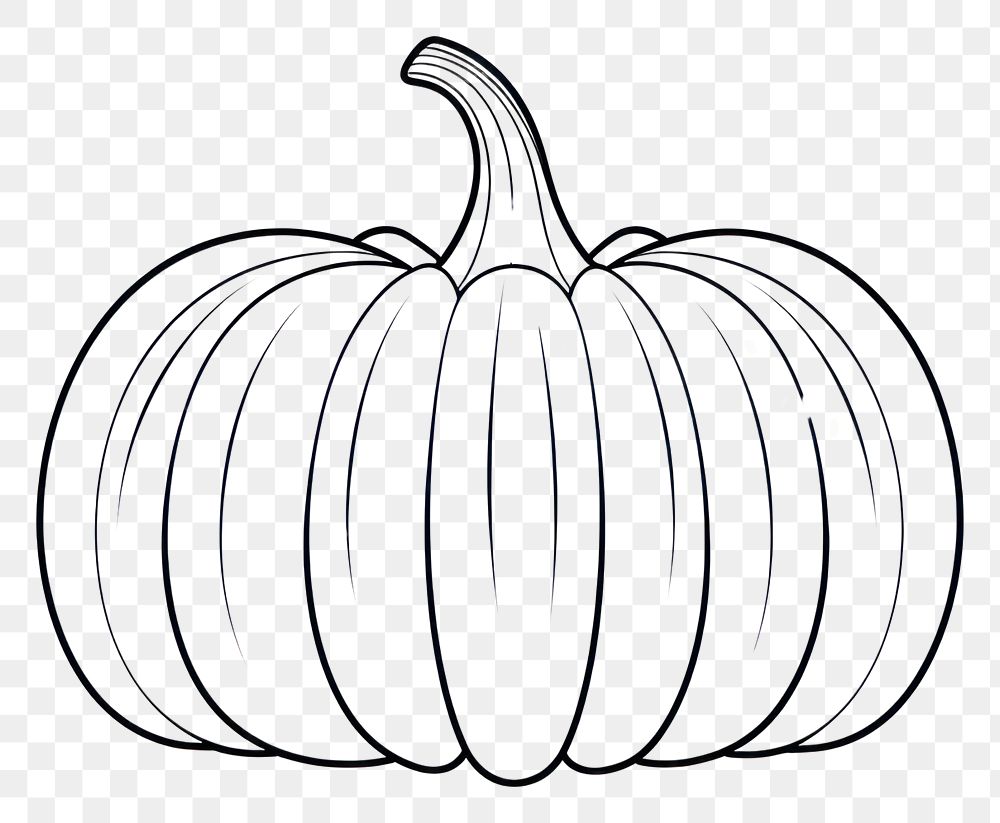 PNG Pumpkin sketch vegetable drawing. 