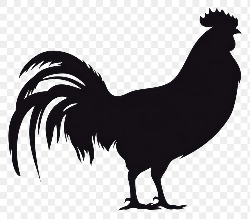 PNG Rooster silhouette chicken poultry. AI generated Image by rawpixel.