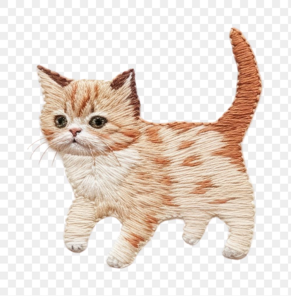 PNG Cat in action drawing animal mammal. AI generated Image by rawpixel.