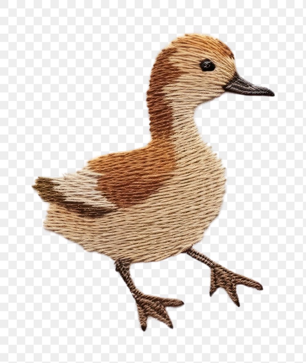 PNG Duck walking pattern animal bird. AI generated Image by rawpixel.