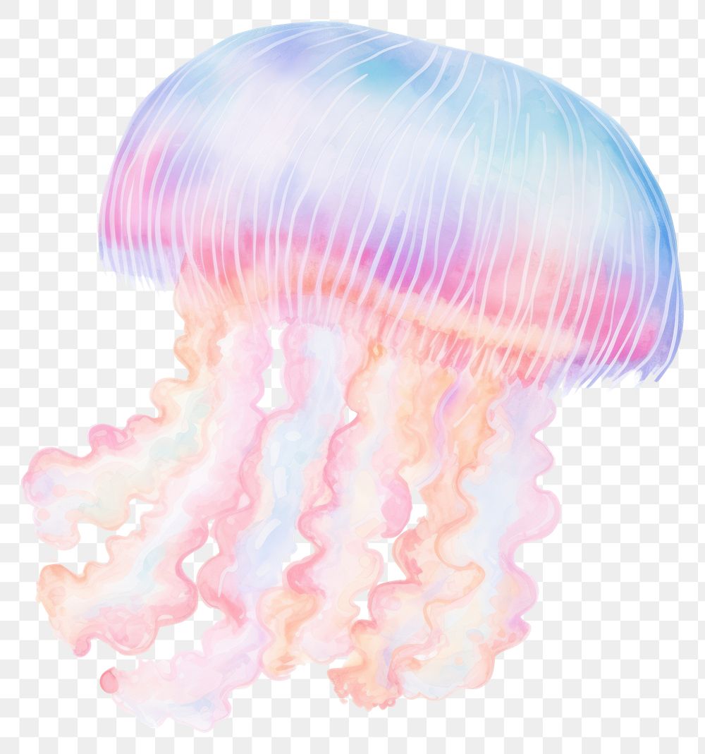 PNG Jellyfish white background invertebrate | Premium PNG - rawpixel