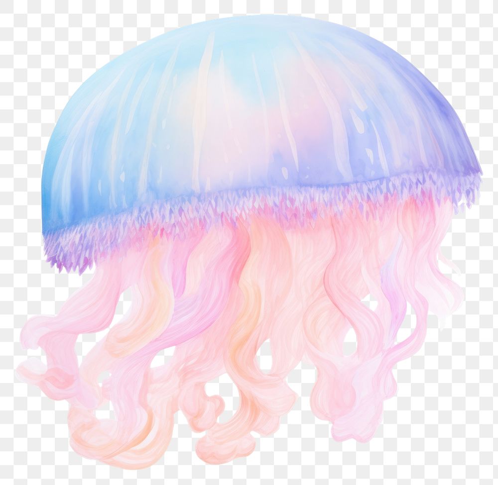 PNG Jellyfish white background invertebrate | Free PNG - rawpixel