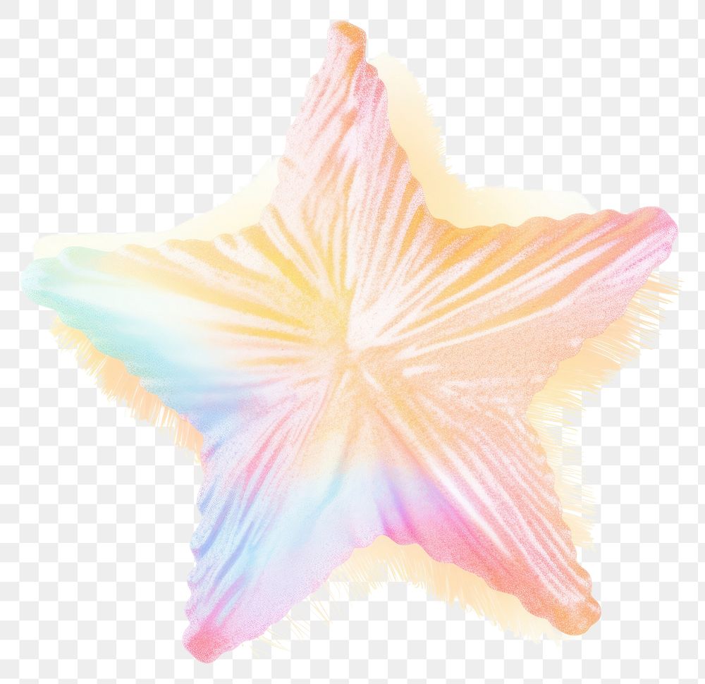 PNG Star petal white background creativity. AI generated Image by rawpixel.