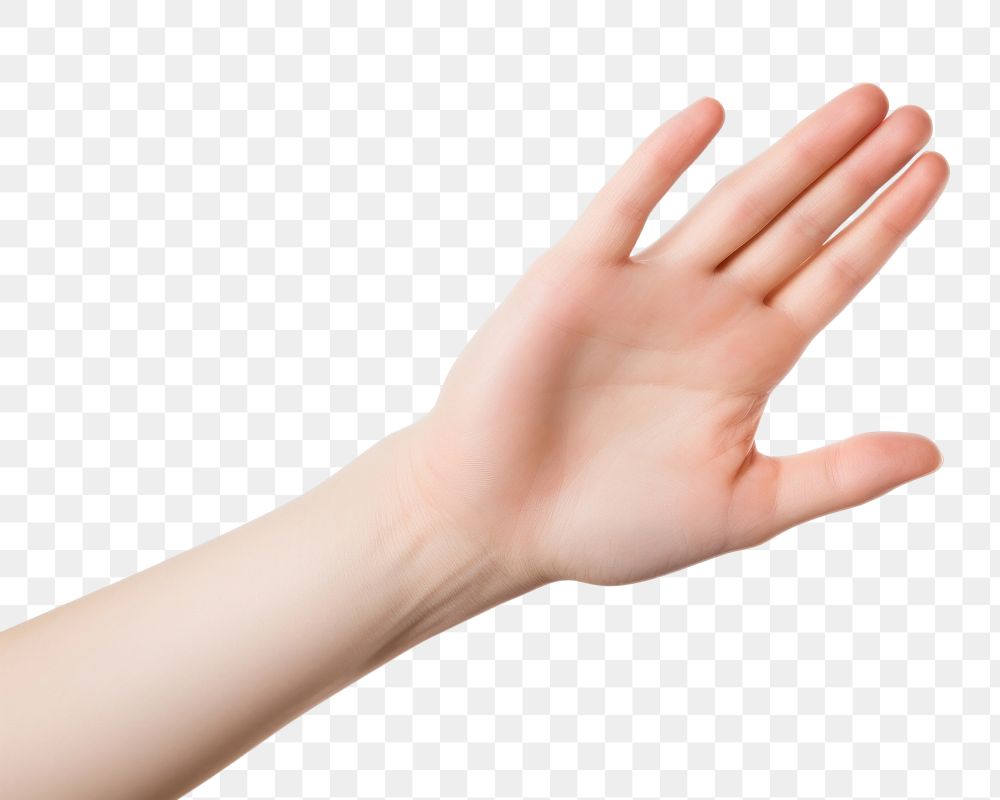 PNG  Female hand finger white background gesturing. AI generated Image by rawpixel.