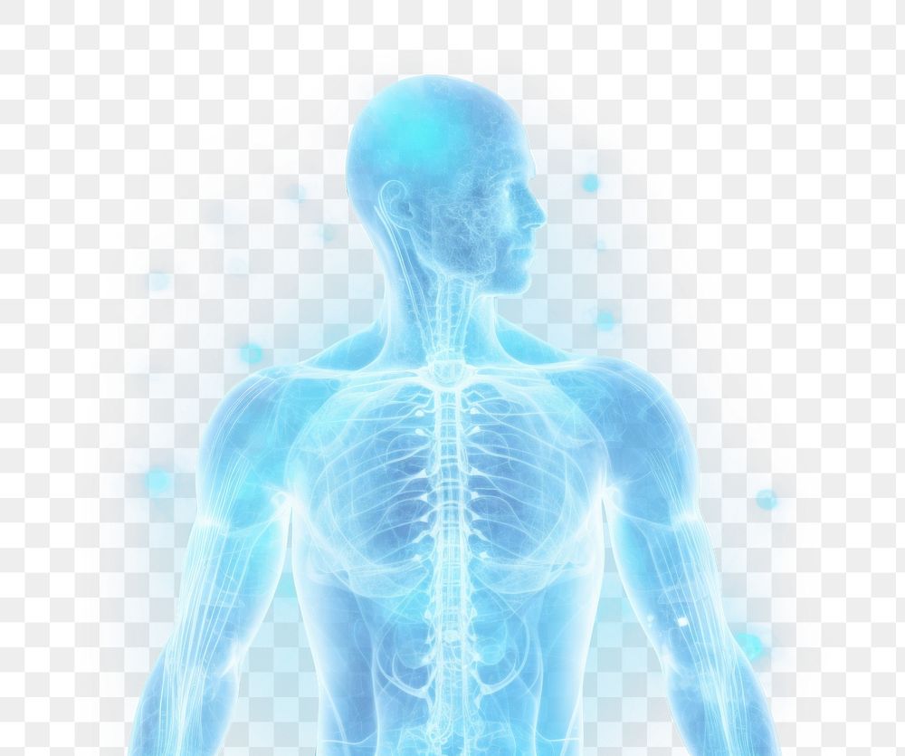 digital background of Digital *X Ray* Human Body, abstract, light blue and white --ar 3:2